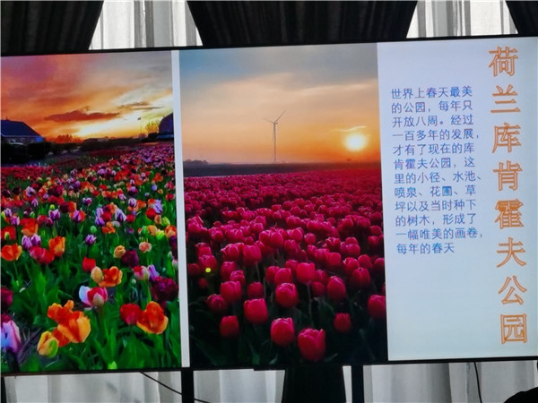 四川中青旅绵(mián)阳分社独(dú)家定制圆梦欧(ōu)洲(zhōu)系列 - 大全景 9 国 16 天 德国-法国-瑞(ruì)士-意大利-奥地利-荷兰-比(bǐ)利时(shí)-列(liè)支敦士登-卢森堡